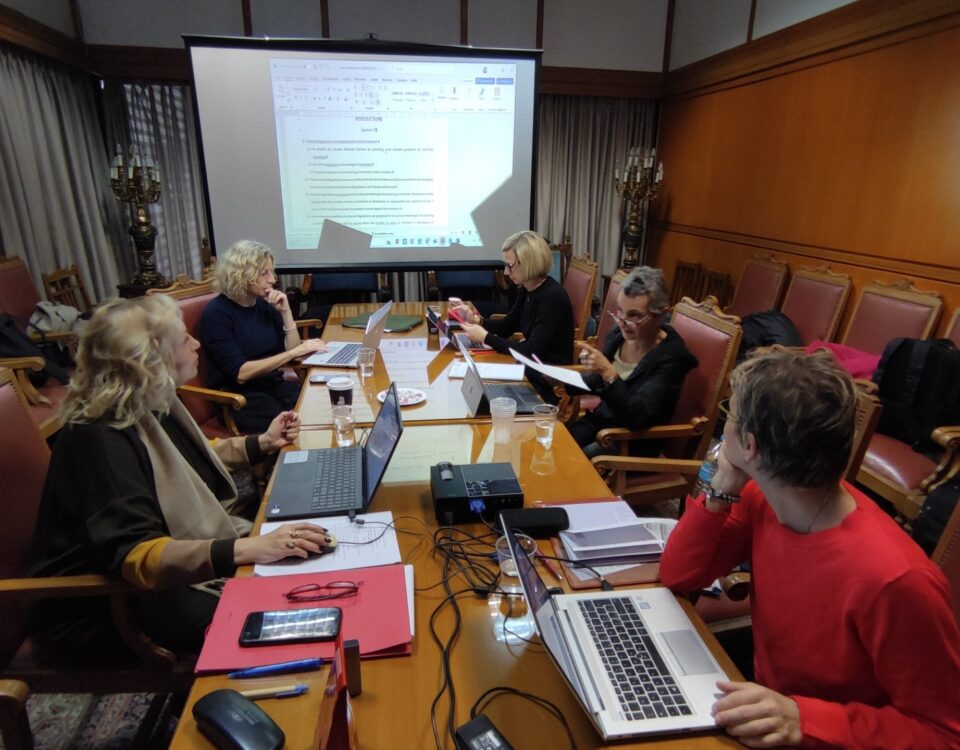 Steering Committee meeting photo